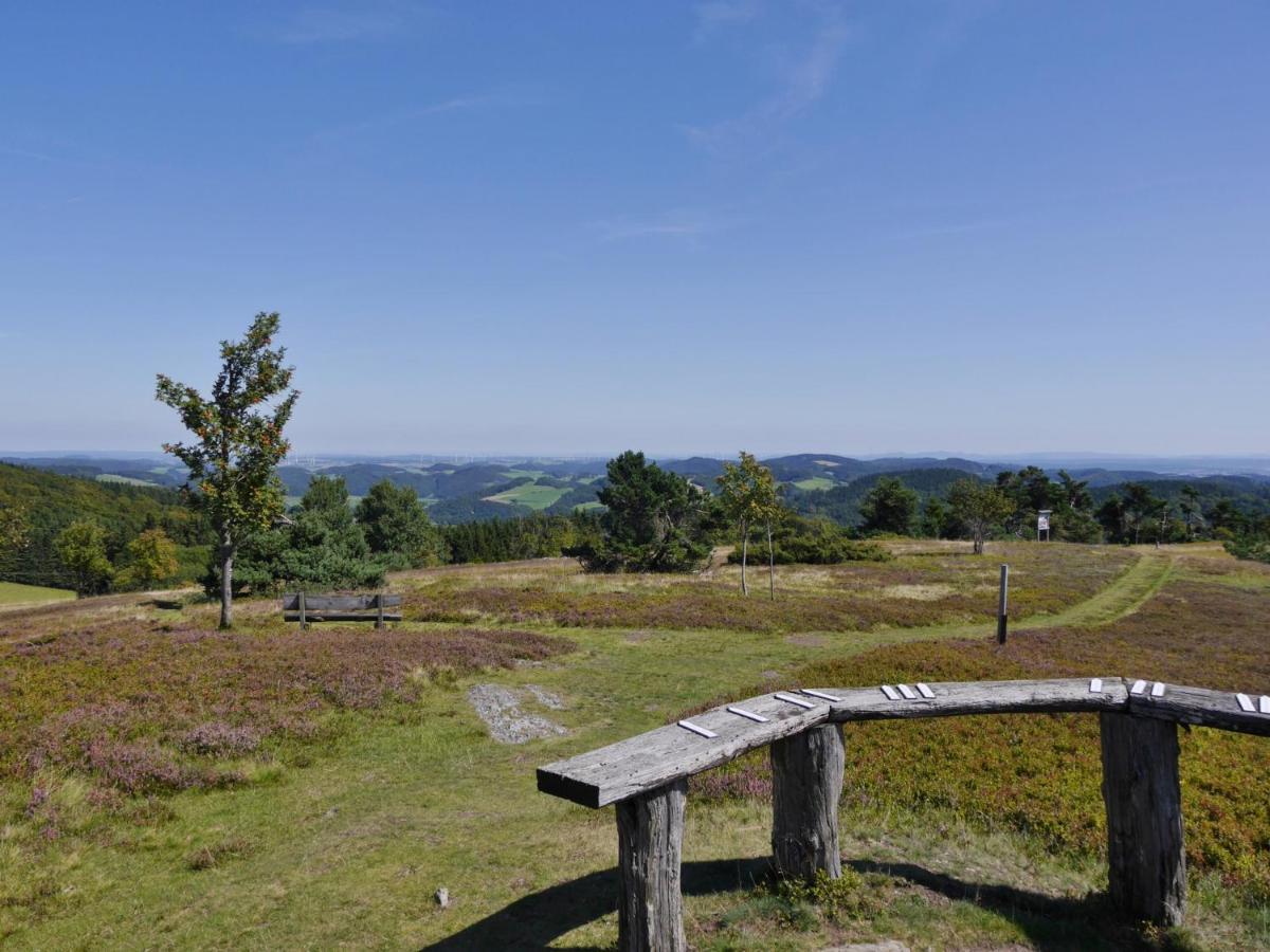 Fewo Blumes Bergfrieden Mit Meinecardplus Willingen  Esterno foto