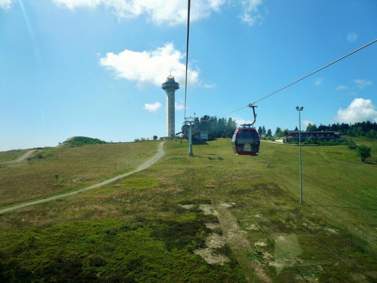 Fewo Blumes Bergfrieden Mit Meinecardplus Willingen  Esterno foto