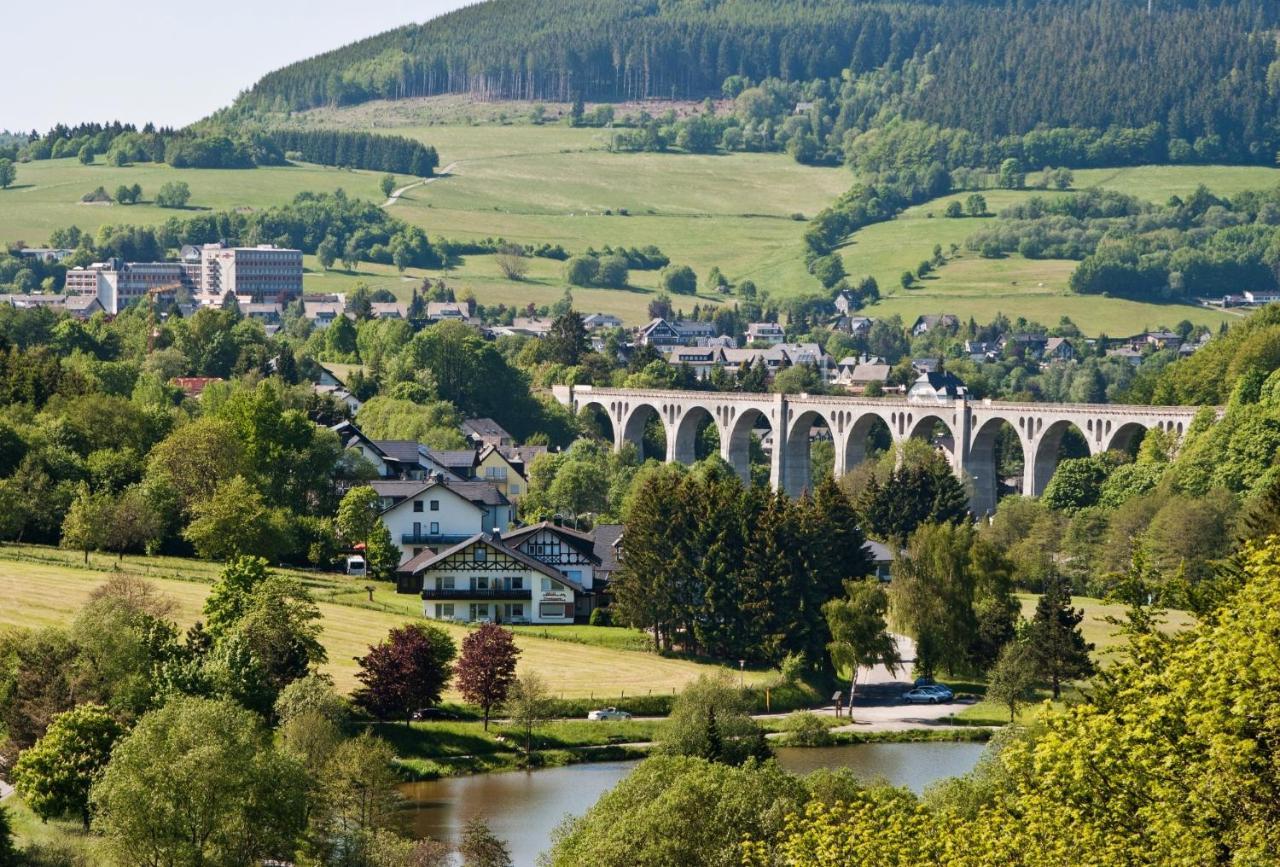 Fewo Blumes Bergfrieden Mit Meinecardplus Willingen  Esterno foto
