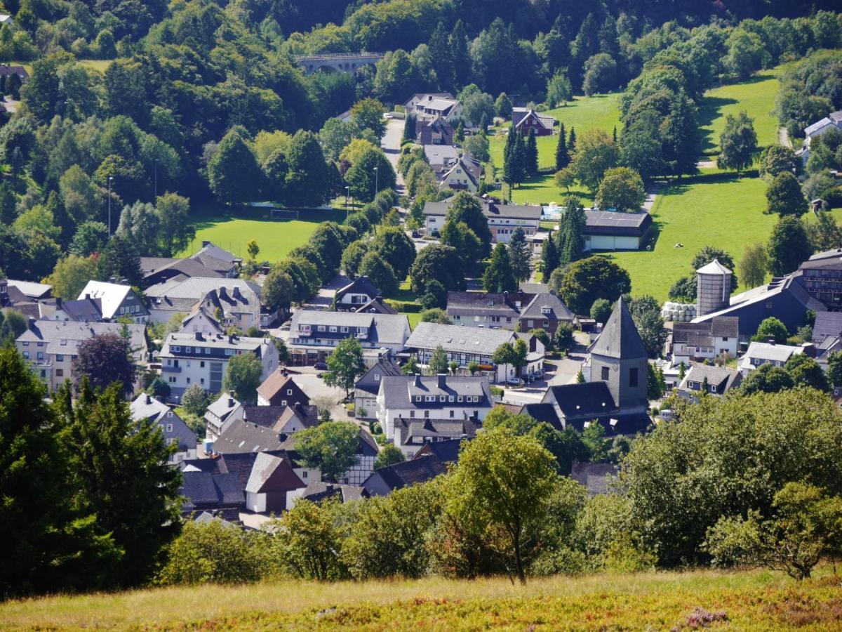 Fewo Blumes Bergfrieden Mit Meinecardplus Willingen  Esterno foto