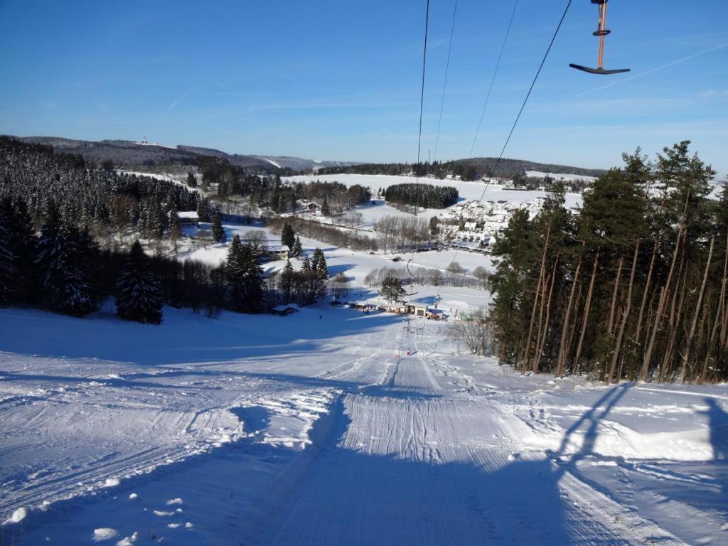 Fewo Blumes Bergfrieden Mit Meinecardplus Willingen  Esterno foto