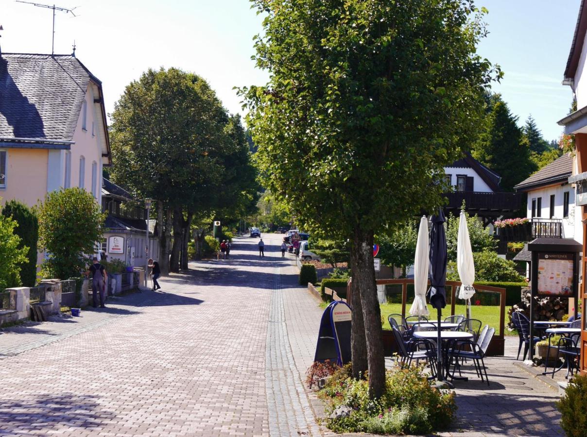 Fewo Blumes Bergfrieden Mit Meinecardplus Willingen  Esterno foto