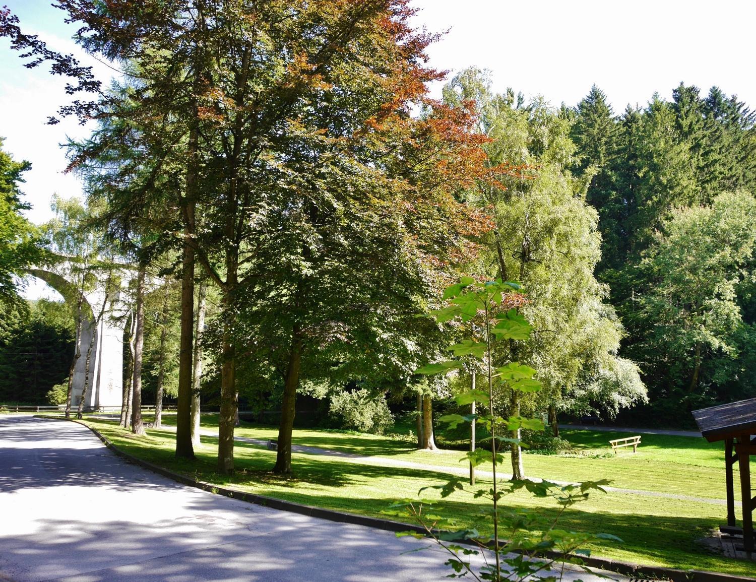 Fewo Blumes Bergfrieden Mit Meinecardplus Willingen  Esterno foto